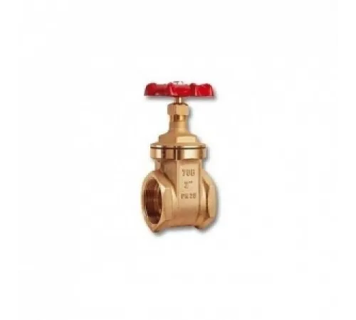 Задвижка клиновая 4", ВР-ВР, PN20, стандартный тип Cimberio